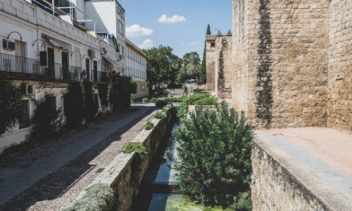 Cordoba